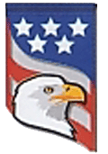 Eagle Patriotic Holiday Mini Banner at Will of the Wind