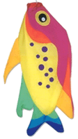 Rainbow Damsel Fish Windsock - 36"