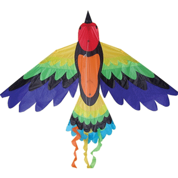 Flying Rainbow Bird Kite