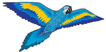 Blue 3D Parrot Kite