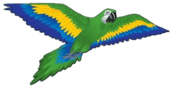 Green 3D Parrot Kite