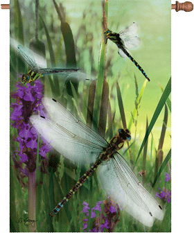 Dragonflies Dreamin House Flag