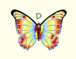 Butterfly Kite D