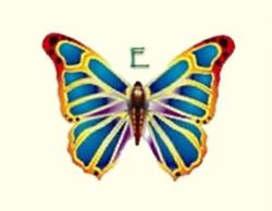 Butterfly Kite E