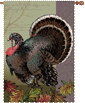 Fall Turkey Decorative House Flag