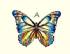 Butterfly Kite A