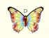 Butterfly Kite D