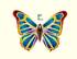 Butterfly Kite E