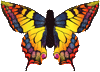 See Will of the Wind's great Butterfly Kite Collection